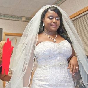 Beautiful Beaded Cathedral Veil!